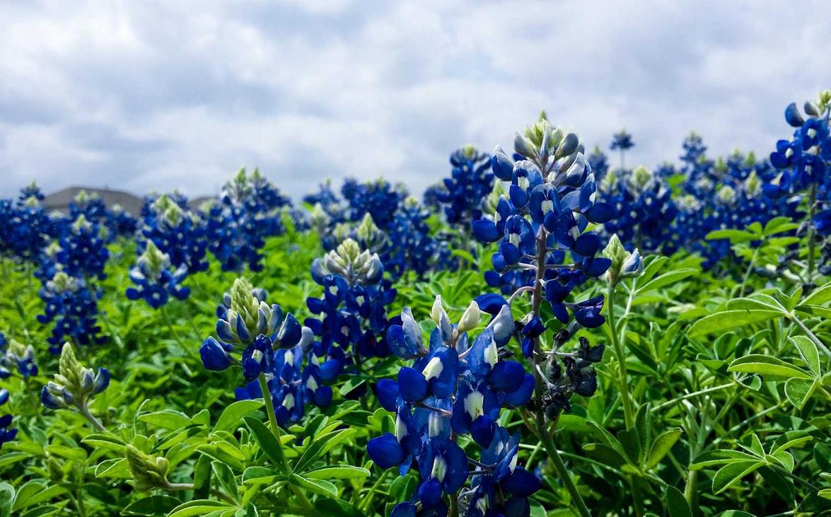 租赁平台代理商