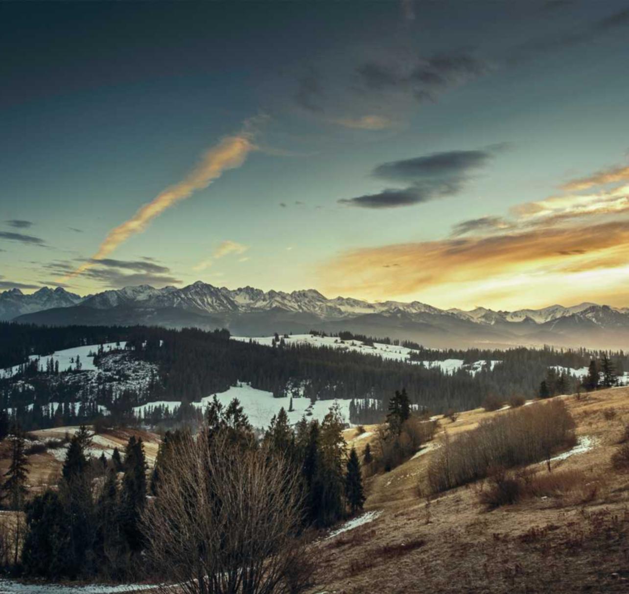 如何为游戏技术支持辅助提供反制手段