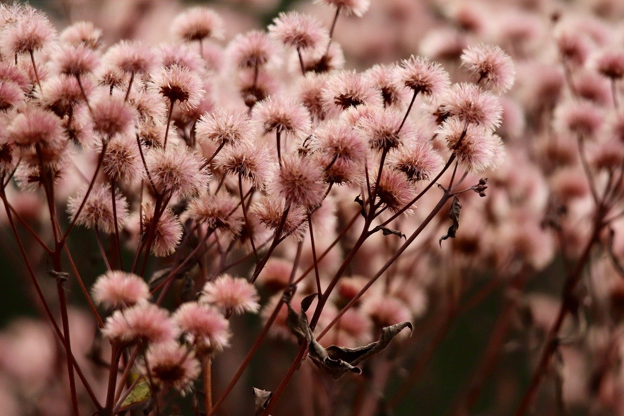 技术支持辅助与暴力游戏