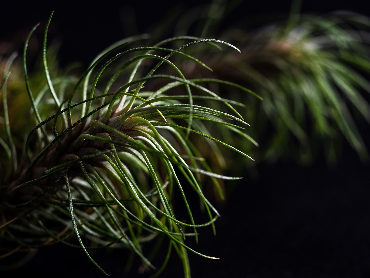 虎牙实名账号：手游平台代理